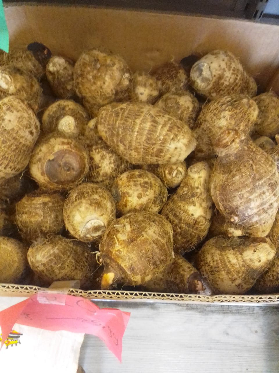 Taro