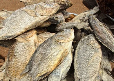 DRIED SALTED FISH, POISSON SALE SECHE, DJEMEKPE, KOOBI