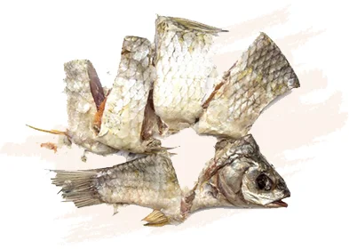 LANHOIN (Poisson salé fermenté)