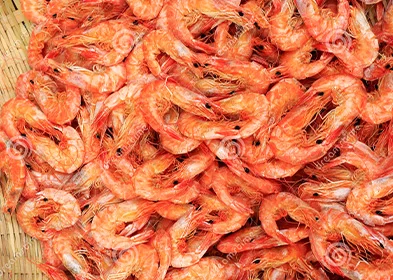 DRIED SHRIMP, CREVETTES SECHEES