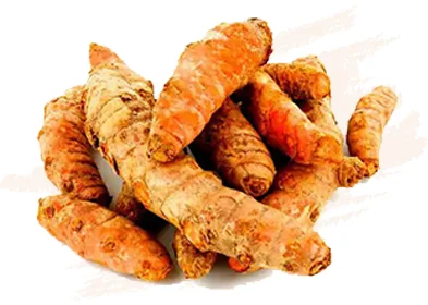 FRESH TURMERIC